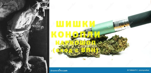 гашик Коряжма