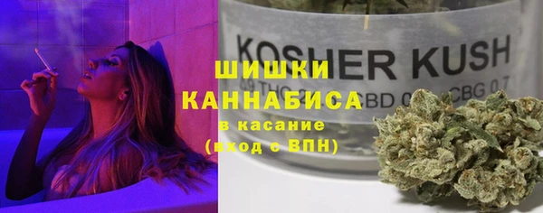 мяу мяу кристалл Корсаков