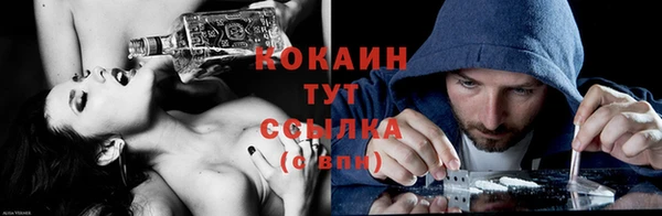 гашик Коряжма