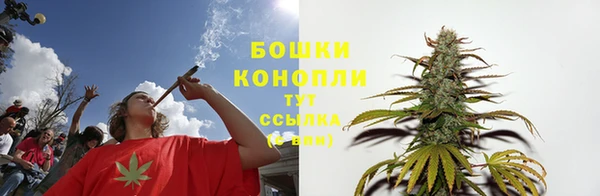 мяу мяу кристалл Корсаков