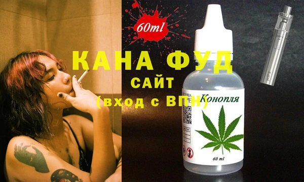 гашик Коряжма
