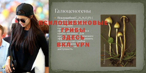 соль ск Костерёво