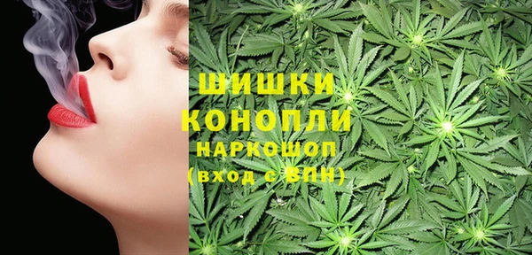 соль ск Костерёво