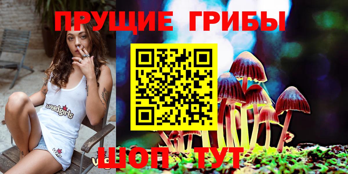 Псилоцибиновые грибы Psilocybe Владикавказ