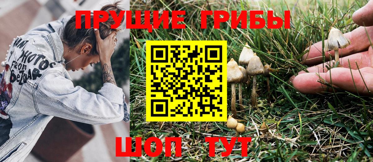 Псилоцибиновые грибы Magic Shrooms  Владикавказ 