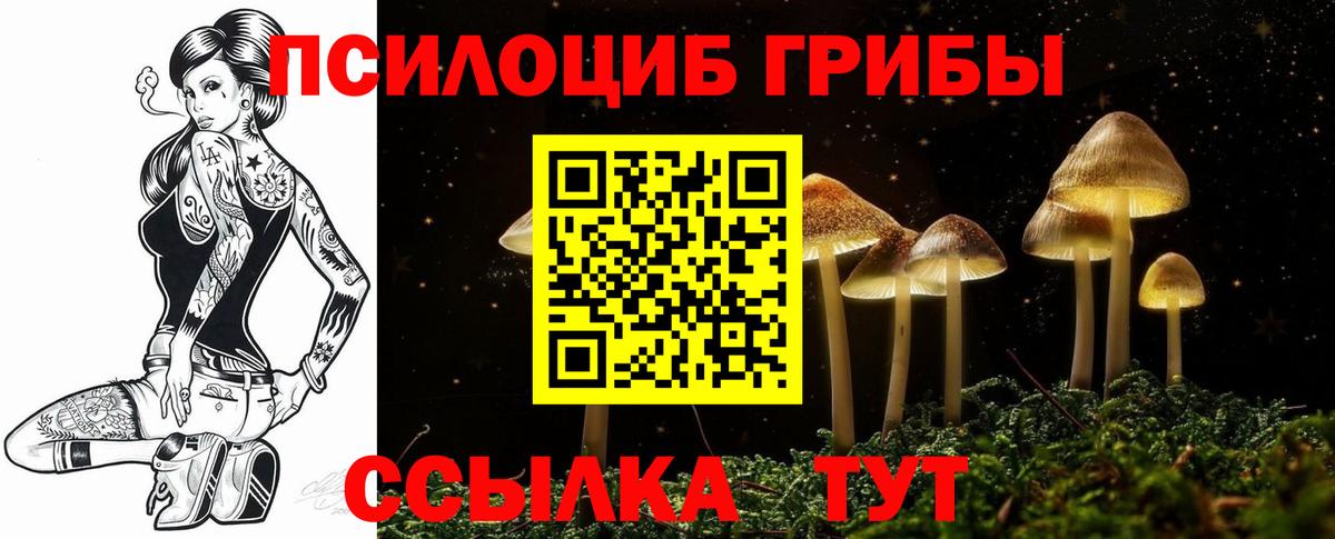 Владикавказ  дарнет шоп  Вход с VPN  Псилоцибиновые грибы ЛСД 